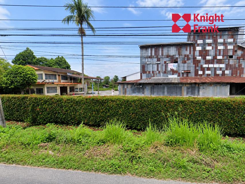 ขายที่ดินพร้อมโรงงาน 61 ไร่ ติดถนนพหลโยธิน อำเภอแม่จัน จังหวัดเชียงราย 3