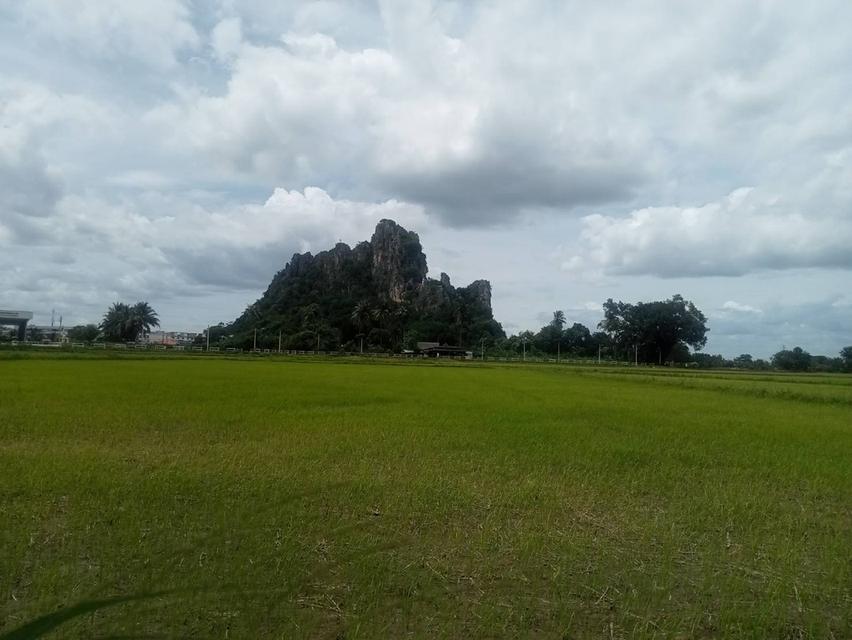 ขายที่ดินเปล่า ชุมชนตลาด  เขาย้อย เพชรบุรี (เหมาะกับลงทุน+เกษตร) 5