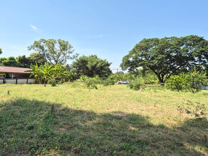 ที่ดิน หมู่บ้าน สวนเอก เลคปาร์ค ลําลูกกา ปทุมธานี 12