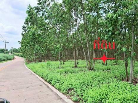 ที่ดินติดถนนเทพราชลากระบัง เนื้อที่ 51-1-167 ไร่ ไร่ละ 10 ล้าน รวมเป็นเงิน 520 ล้านบาท อ.บางบ่อ สมุทรปราการ 10540 5
