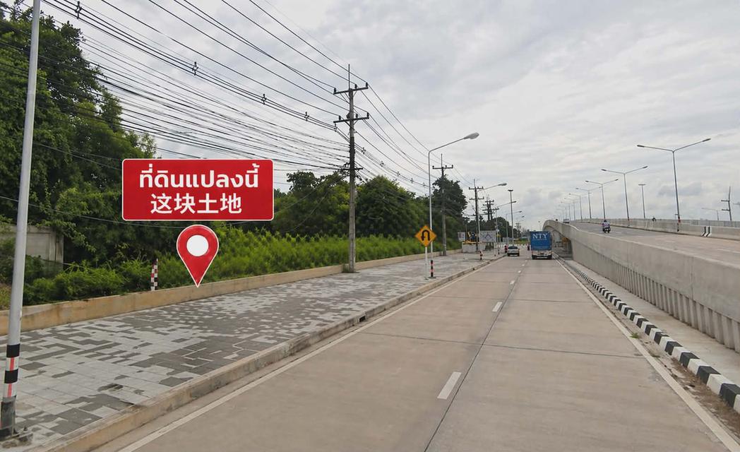 ขายด่วน ที่ดิน แยก J สัตหีบ Urgent Sale – Prime Commercial Land at J Junction, Sattahip (EEC Zone) 3