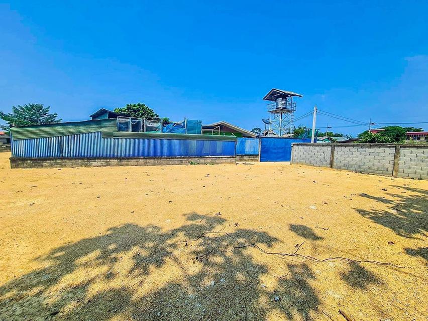 ขายที่ดินหนองปรือพัทยา เนื้อที่ 204 ตรว. ถมแล้วซอยสันติสุข4 ใกล้ห้างเทอร์มินอล ใกล้หาดจอมเทียน7กม. อ.บางละมุง ชลบุรี 2