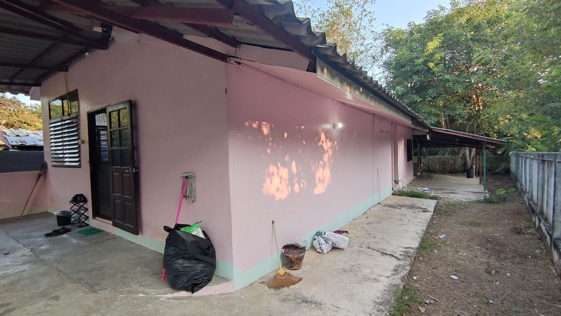 บ้านพร้อมที่ดิน 100 ตร.ว. 3 ห้องนอน 2 ห้องน้ำ ห้วยทราย สันกำแพง 7