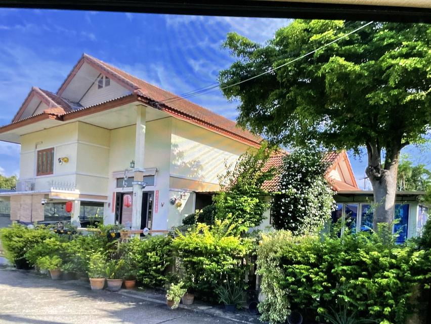 บ้านใจกลางเมืองระยอง ใกล้ทะเลใกล้สิ่งอำนวยความสะดวกมาก เดินทางสะดวก  บ้านร่มรื่น สวยกว้าง ใกล้โรงเรียน ใกล้ห้าง ใกล้ตลาดใกล้สถานที่ท่องเที่ยว 1
