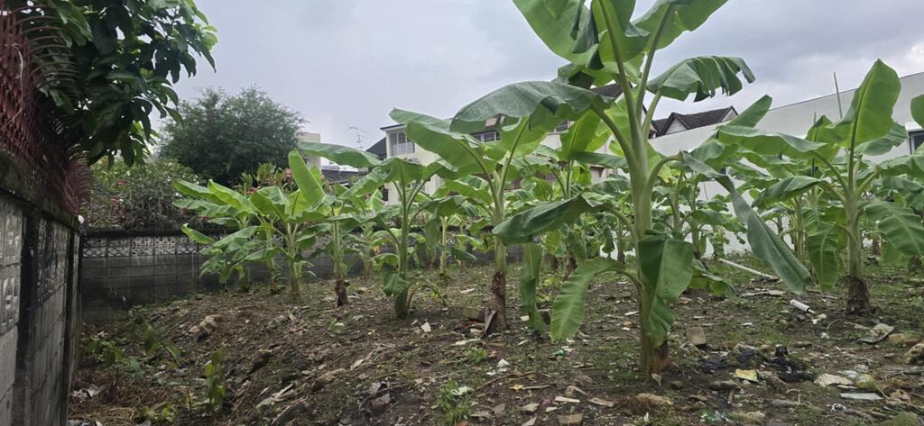 ขายที่ดินเปล่า ขนาด 61 ตร.วา ถ.สุทธิสาร-รัชดาฯ ใกล้ MRTสุทธิสารสายสีน้ำเงินเพียง 600 ม. 5