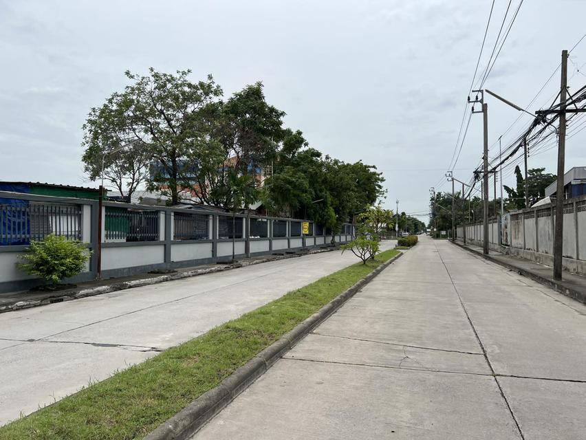 ขายที่ดินเปล่า หมู่บ้านแฮปปี้เพลสพาร์ค (หน้าที่ดินหันทิศเหนือ) 4