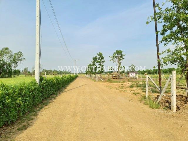 ที่ดินถมแล้ว คลอง14 ถนนรังสิต-นครนายก ใกล้มหาวิทยาลัยเซนต์เทเรซา อ.องครักษ์ จ.นครนายก 10