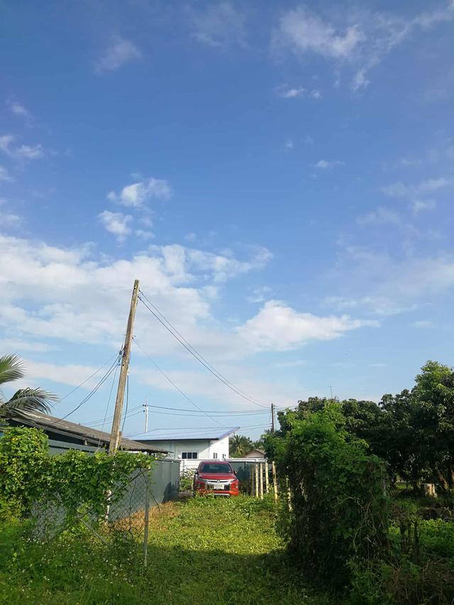 ที่ดิน อ.เมือง จังหวัดลำพูน 6