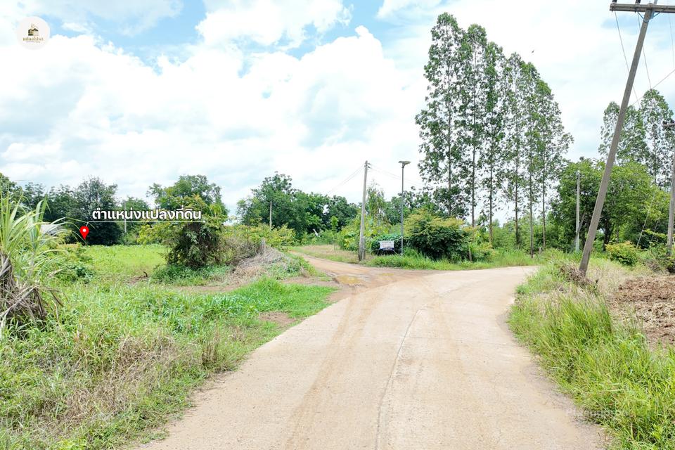 ขายบ้านพร้อมที่ดิน 2 ไร่ 2 งาน 19 ตร.ว. โฉนดครุฑแดง วิวภูเขา ต.วังชมภู เพชรบูรณ์ 12