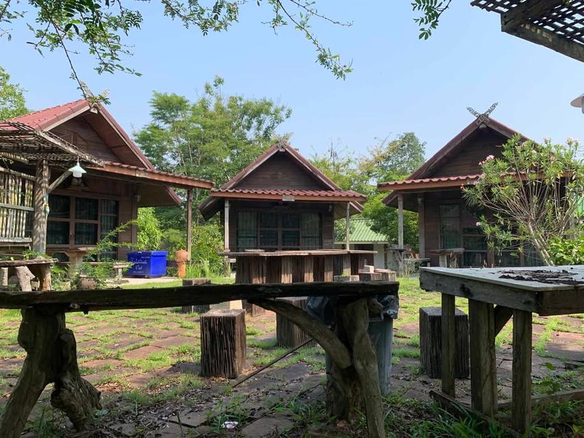 บ้านอิงลม ชมหมอก 2  วัดท่าซุงสาขา 9  วังน้ำเขียว 4 ไร่ 7.5 ล้าน 2