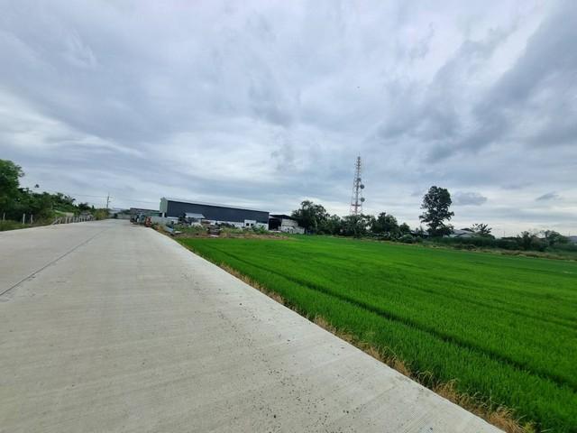 ขายที่ดินถมแล้ว เนื้อที่ 40 ไร่ เขต EEC สีม่วงจุดสีขาว ติดถนนสาธารณะ อ.เมืองฉะเชิงเทรา รถใหญ่เข้าสะดวก 6