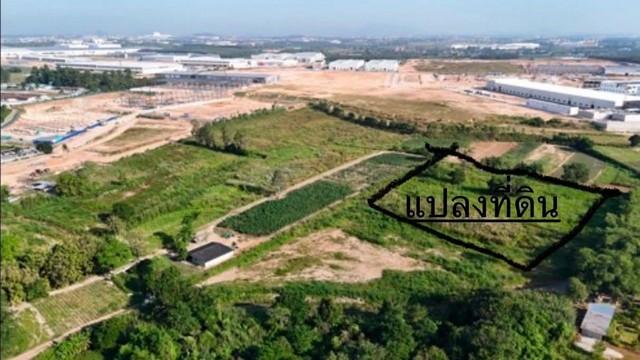 ขายที่ดินสีม่วงลายทำเลทองใกล้นิคมพัฒนา จ.ระยอง ขาย 6 ไร่ 58 ตร.ว. เหมาะทำโรงงาน โกดัง คลังสินค้า หรือเก็บไว้ลงทุน