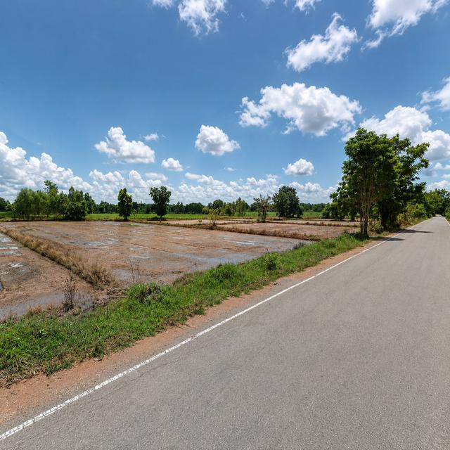 ขายที่ดินสวย ทำเลดีมาก ติดถนน 2 ด้าน ตำบลเด่นใหญ่ อำเภอหันคา จังหวัดชัยนาท 1