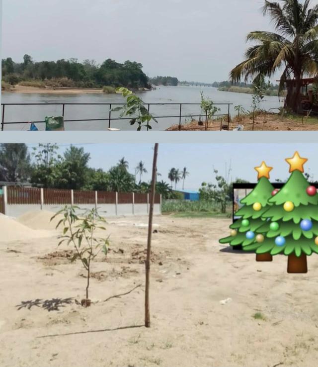 ขายที่ดินติดริมน้ำปิงกำแพงเพชร 8