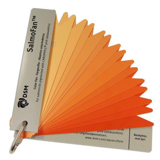 SALMO Color Fan – พัดสีมาตรฐานสำหรับเทียบสี รูปที่ 3