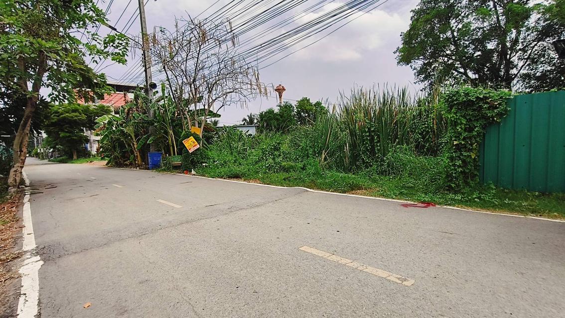 ขายที่ดิน112ตรว.ซอยบงกช65 4