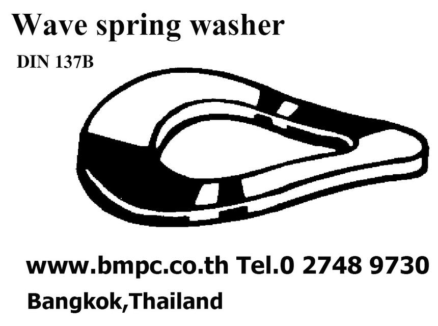 แหวนจานกันคลาย, แหวนจานโค้งมีฟัน, Ribbed lock washer, Serrated Washers, locking disc spring, แหวนฟันเฟืองกันคลาย รูปที่ 12