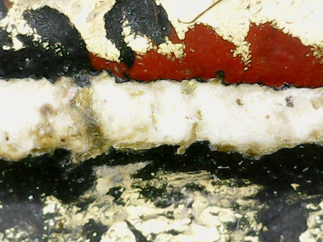 พระสมเด็จวังหน้าลงรักชาดทอง รูปที่ 13