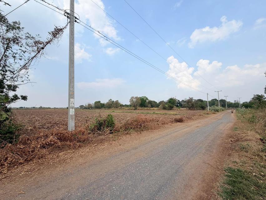 📍ขายที่นา 4ไร่ 3งาน 3.1ตารางวา หน้ากว้าง 38 เมตร น้ำไม่เคยท่วม มีไฟฟ้า น้ำปะปา ติดถนน 5