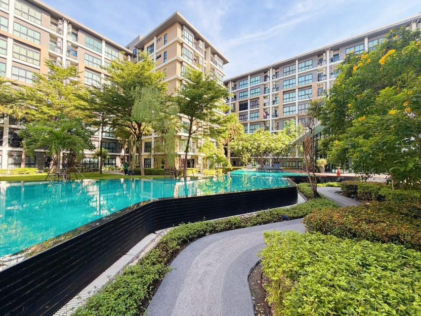 ขายด่วน! คอนโด ฮอลล์มาร์ค งามวงศ์วาน  ห้องสวย สภาพดี บรรยากาศร่มรื่นสไตล์รีสอร์ท ใกล้ทางด่วน เดอะมอลล์งามวงศ์วาน Hallmark Ngamwongwan 19