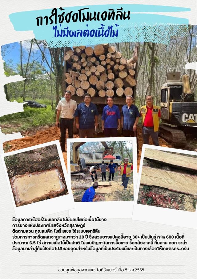 ชุดเจาะยางพารากับเอทิลีน 6