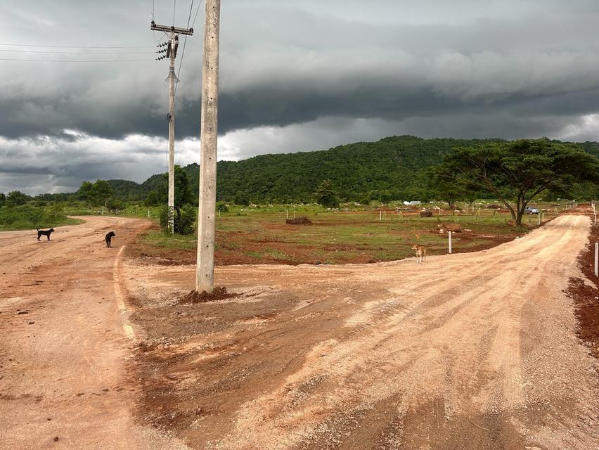 ที่ดิน เขาปากกว้าง โพธาราม ราชบุรี ขนาด 100 ตร.วา - 1 ไร่  19