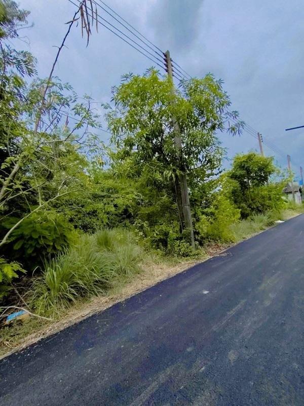 ขายที่ดินถมแล้ว 19.5 ตรว. เคหะคลองแปด อ.หนองเสือ จ.ปทุมธานี ติดถนน น้ำประปา ไฟฟ้า สะดวกสบาย โทร 095-165-3654 5