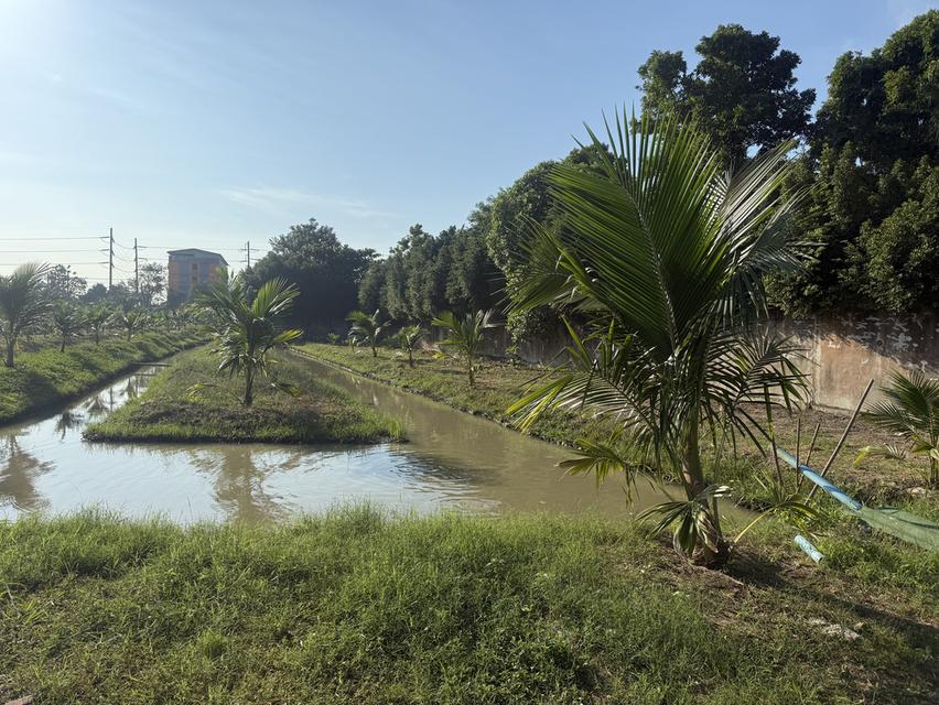 ขายที่ดินติดแม่นำ่ทำแลทอง 10