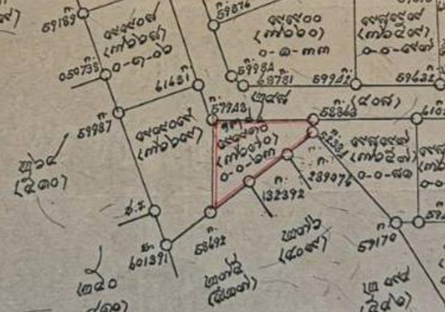 ด่วน! ขายที่ดินทำเลทองชินเขต 63 ตร.ว. งามวงศ์วาน 43 พร้อมสิ่งปลูกสร้าง (ราคาต่อรองได้) 🏡 ขายที่ดิน 63 ตร.ว. ทำเลทอง "ชินเขต 1" พร้อมสิ่งปลูกสร้าง (ต่ 12