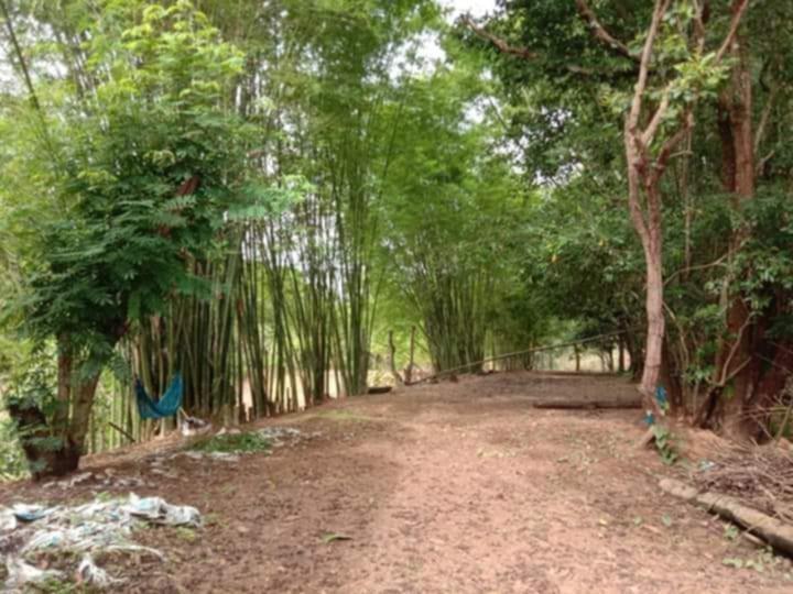 ขายที่ดินสวนยาง แปลงใหญ่ 62 ไร่เศษ ที่นครพนม 8