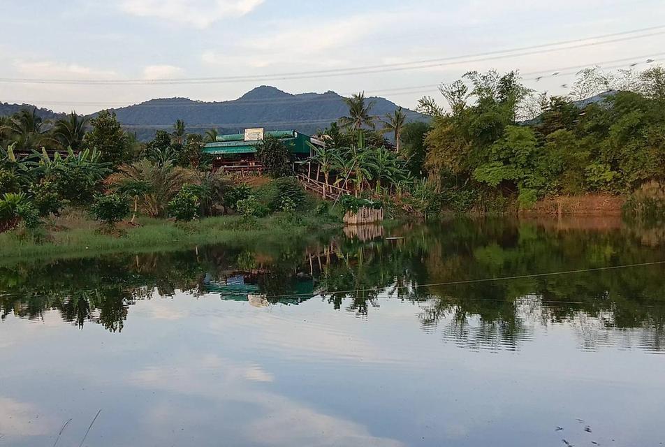 ขายที่ดิน 2 แปลง แปลงละ 45 ไร่ ต.ไร่ใหม่ อ.สามร้อยยอด จ.ประจวบคีรีขันธ์ ซื้อแยกได้ หรือซื้อรวมทั้ง 2 แปลงได้ 1