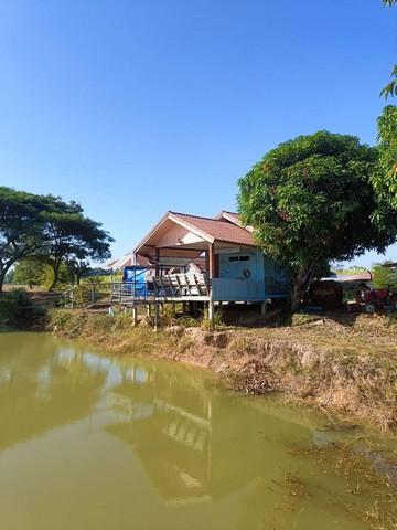 ขายที่ดินทำเลทอง 20 ไร่ ตำบลสีออ อำเภอกุมภวาปี จังหวัดอุดรธานี 1