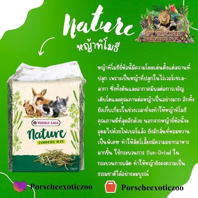 อาหารและอุปกรณ์สัตว์เลี้ยง 9