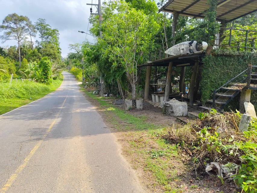ที่ดินภูเก็ต โซนถลาง 1 ไร่ ควนตาแท่น บ้านเขาล้าน ติดธรรมชาติ ห่างจากถนนหลัก 4 กม. 7