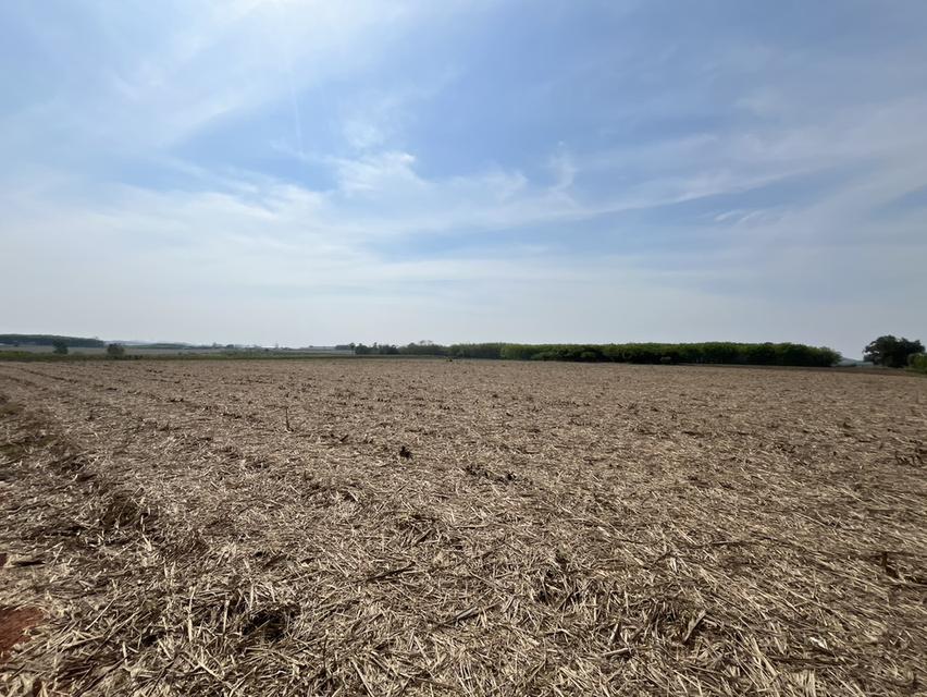 [ขาย] ที่ดิน 38 ไร่เศษ ในนิคมโรจนะ หนองใหญ่ 6