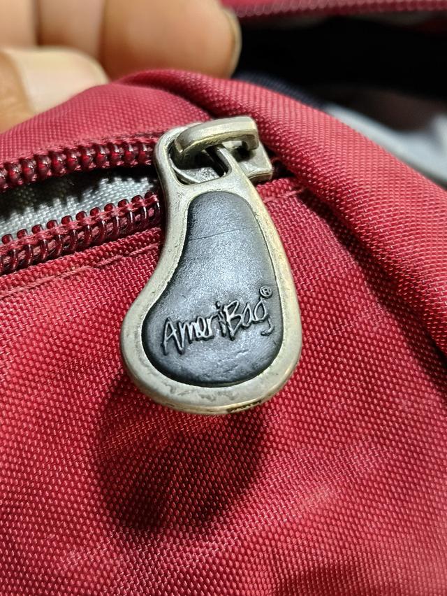 Ameri Healthy Bag 14