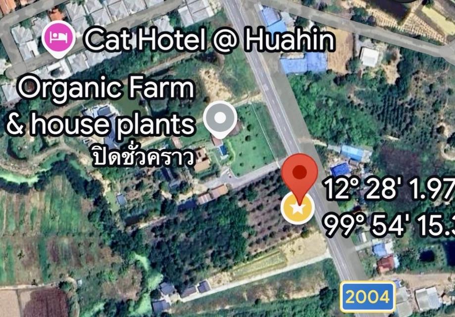 ขายด่วน ที่ดินแปลงสวย หัวหิน ประจวบคีรีขันธ์ 1