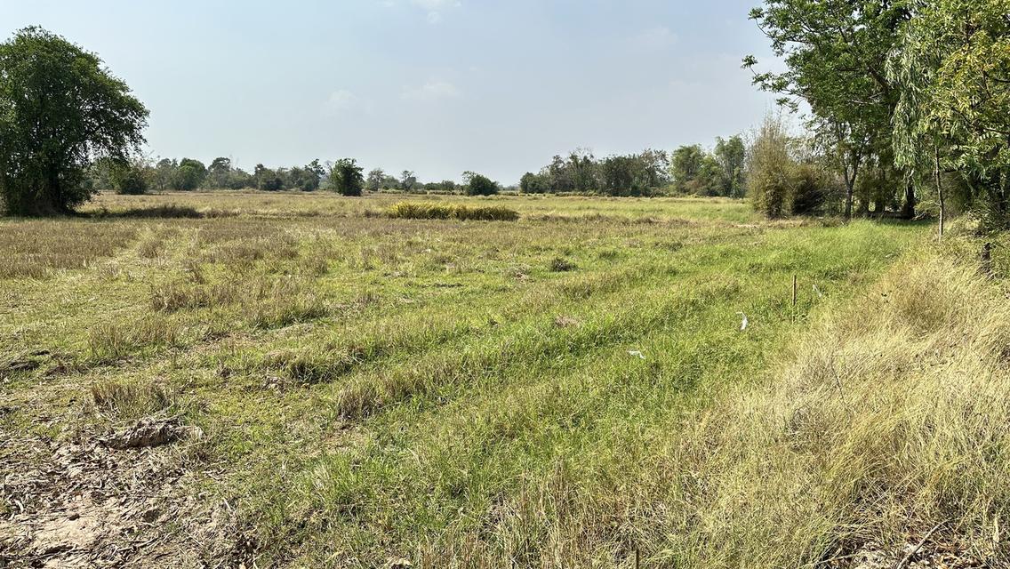 ขายที่นายกแปลง 34 ไร่ 2 งาน 20 ตารางวา ที่สระบุรี 6