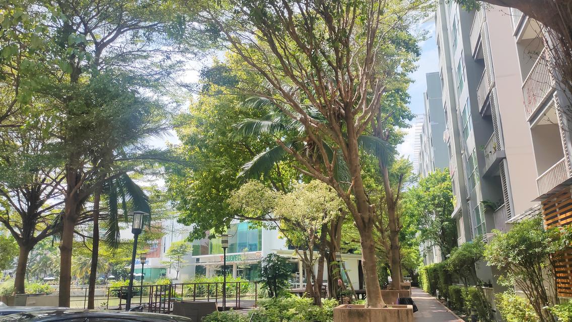 ขายคอนโดห้องวิวสระ อยู่สบาย 8