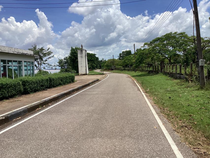 ให้เช่าที่ดืน13ไร่ใกล้สะพาน3ติดถนนเรียบโขงนครพนม 14