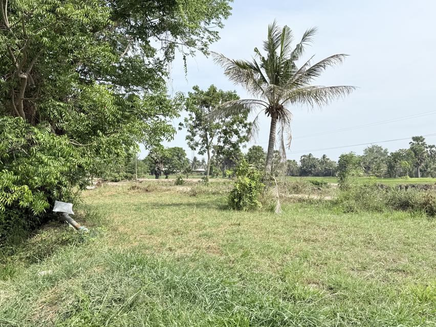ที่ดินสวนเกษตรติดน้ำ D13 ใกล้ทะเล 2 ไร่ ยกแปลง 690,000 บาท 3