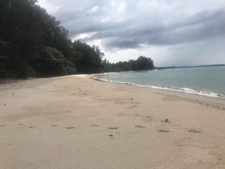 ขายที่ดินติดชายหาดเขาหลัก