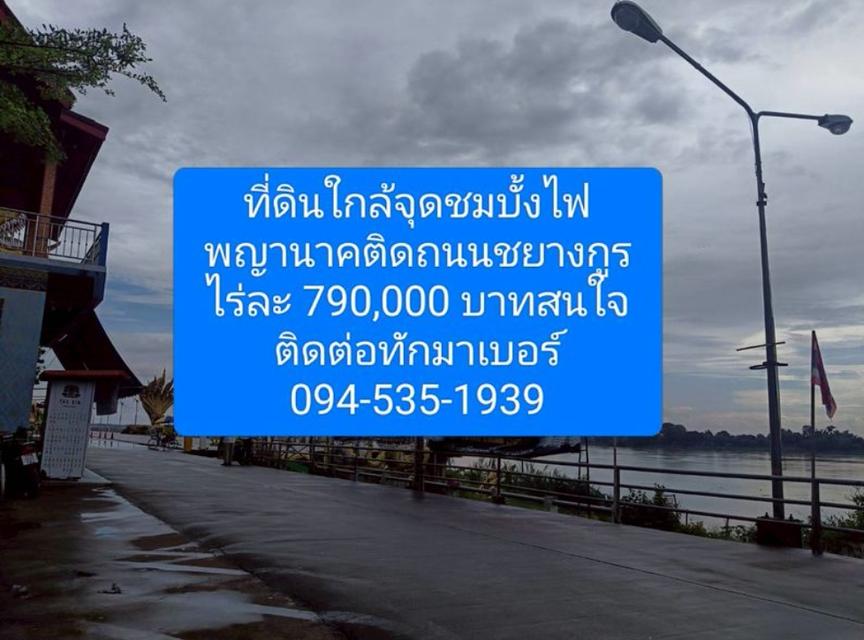 ขายที่ดินติดถนนทางหลวงแผ่นดินเส้นหนองคายบึงกาฬ 25 ไร่ 3