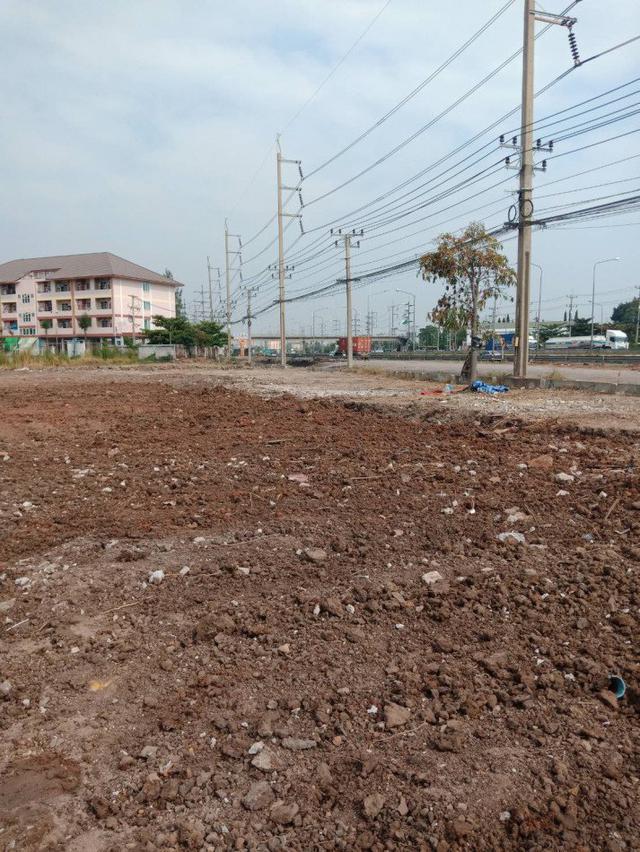 รูป ขาย ที่ดิน เปล่า ติดถนนคู่ขนาน พระราม 2 สมุทรสาคร 3 ไร่ 65.5 ตร.วา ซื้อยกแปลง หรือแบ่งขายได้ 3