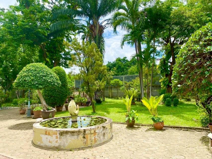 ขายที่ดินพร้อมบ้านเดี่ยว 2 ชั้น สไตล์คลาสสิก กรุงเทพนนท์ 14 ทำเลดี ใกล้ MRTแยกติวานนท์ 150 เมตร 15