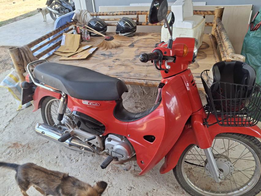 ขาย Super cup 110i ปี2021 เจ้าของขายเองค่ะ เดิมๆ ไม่เคยแกะ ไม่เคยเฉี่ยวชน เล่มทะเบียนครบโอน  ✔️