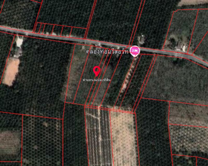 ขายที่ดินกระบี่ 3 งาน 79 ตรว ที่ดินบ้านสวน ธรรมชาติ