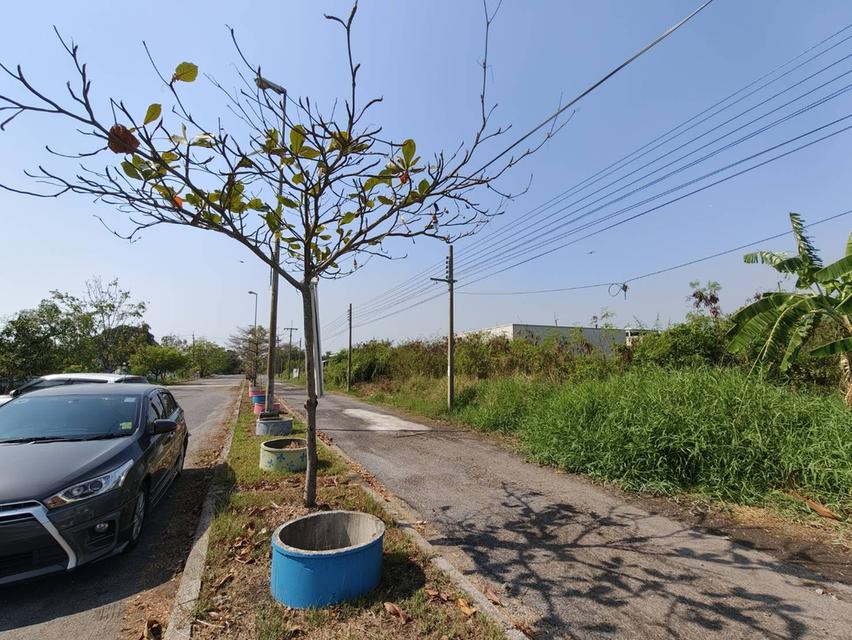 ขายที่ดิน เมืองเอก บางปู 40 ตรว. 2