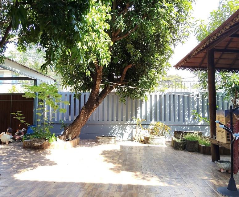 ให้เช่าบ้านเดี่ยว 2 ชั้น หลังใหญ่ 99 ตารางวา / ทำเล ลาดพร้าว โชคชัย 4 / อยู่ในซอยสตรีวิทยา 2 4