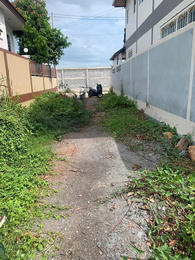 ที่ดิน พื้นที่ว่างปล่าว บ้าน 3